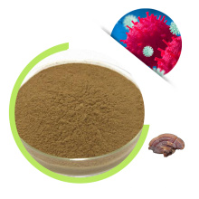 Factory Sell Natural Coriolis Versicolor Extract Reishi Mushroom Powder